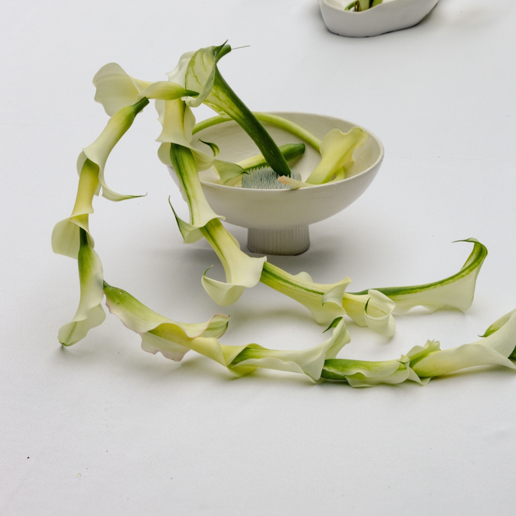 Calas, líneas y formas detalle 1