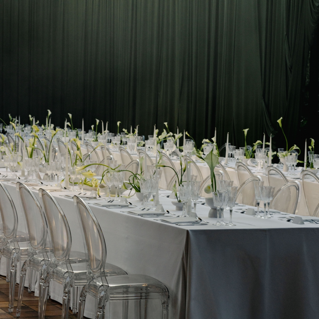 Calas, líneas y formas