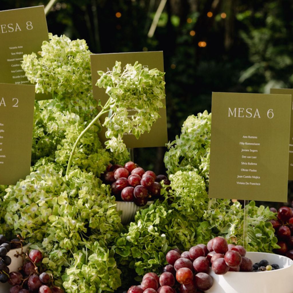 Detalle monocromía botánica 1