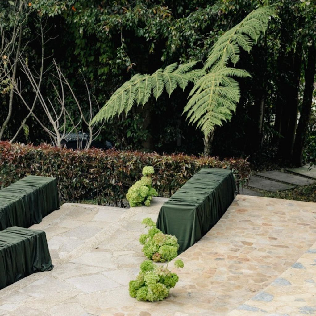 Monocromía botánica imagen editorial amplia